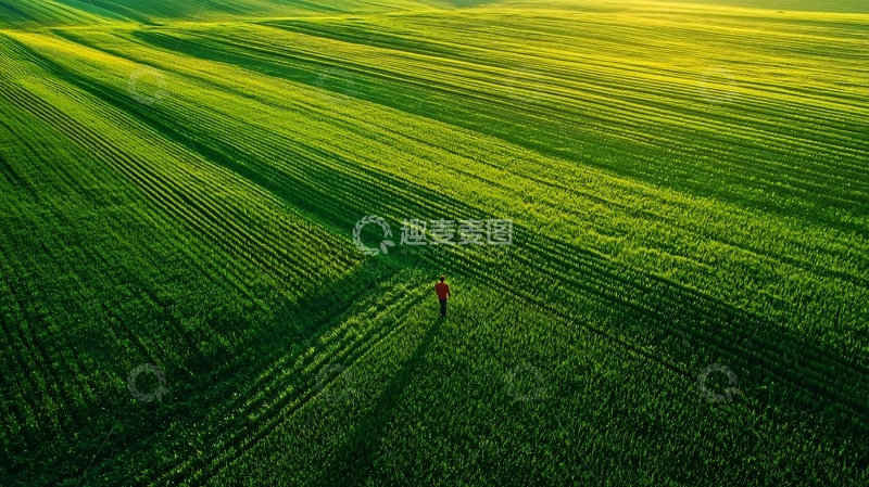 高清大图下载【趣麦麦图】远程农场监控