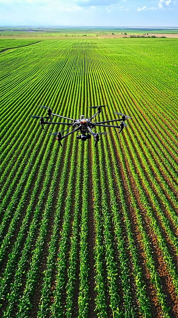 无人机播种高清图片