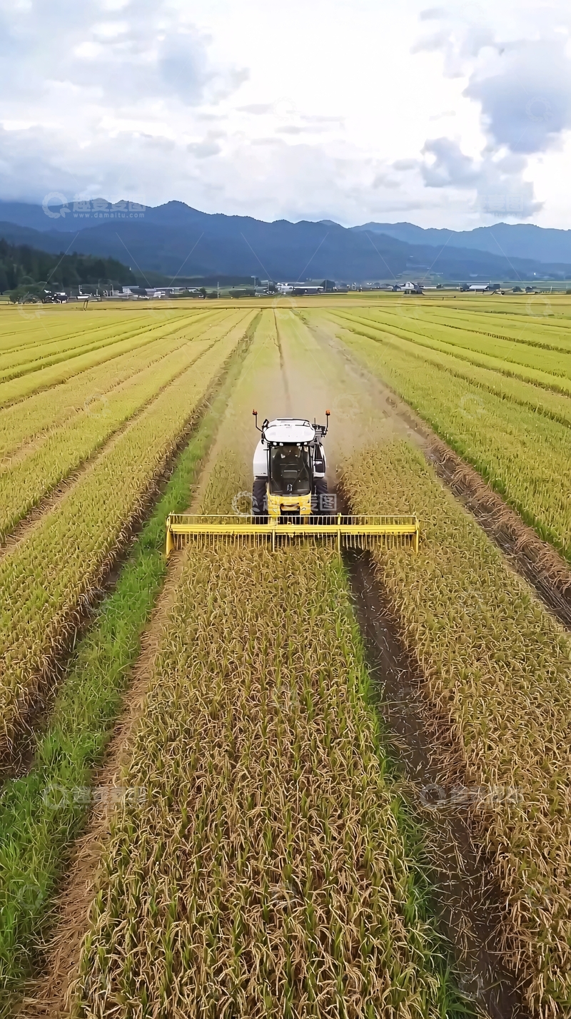 高清大图下载【趣麦麦图】水稻收割机高清图片