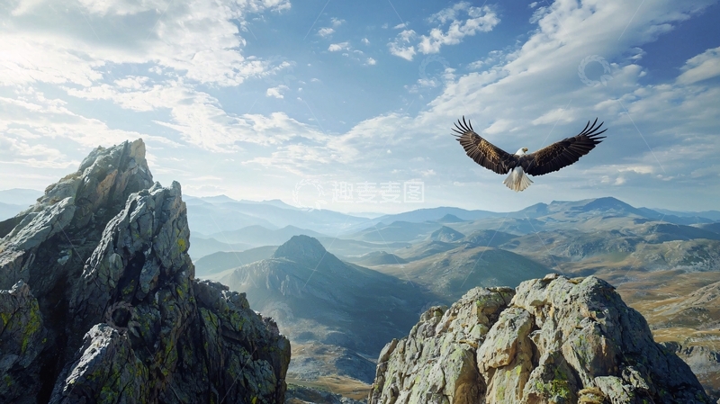 高清大图下载【趣麦麦图】雄鹰翱翔于山巅之上