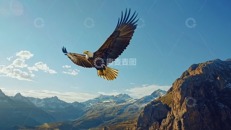 高清大图下载【趣麦麦图】雄鹰翱翔于山间