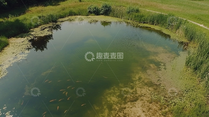 高清大图下载【趣麦麦图】垂钓池塘高清图片