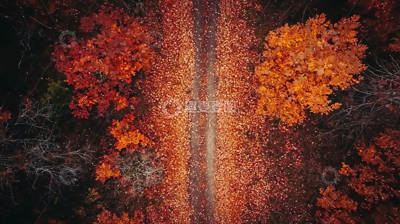 高清大图下载【趣麦麦图】秋天林间小道