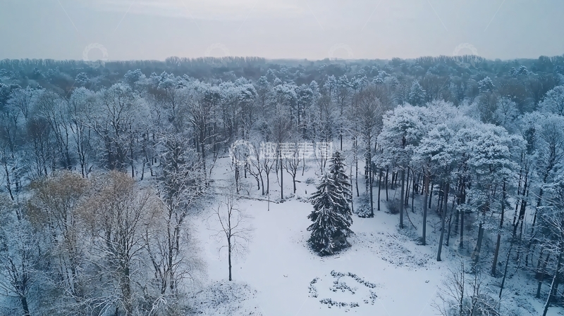 高清大图下载【趣麦麦图】雪地森林高清图片