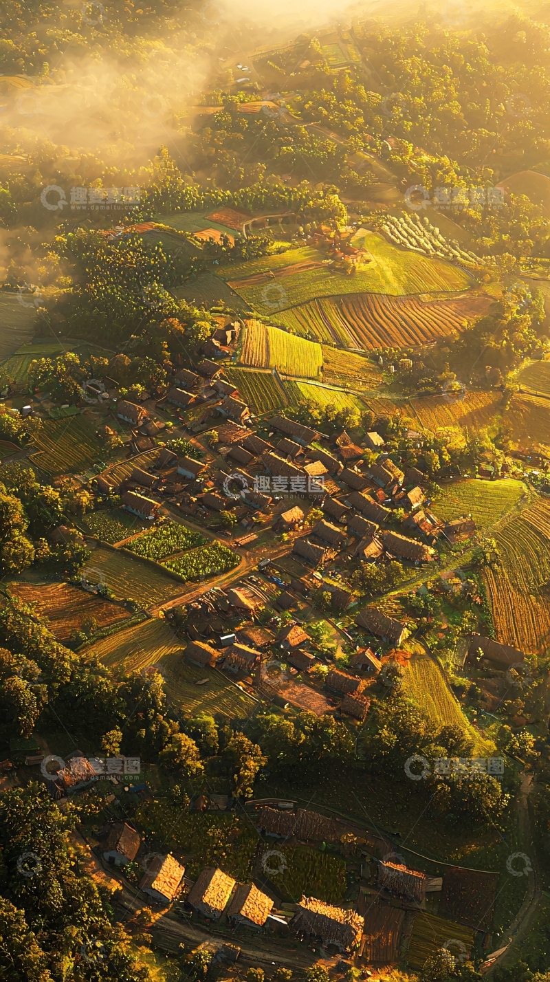 高清大图下载【趣麦麦图】农业合作社高清图片