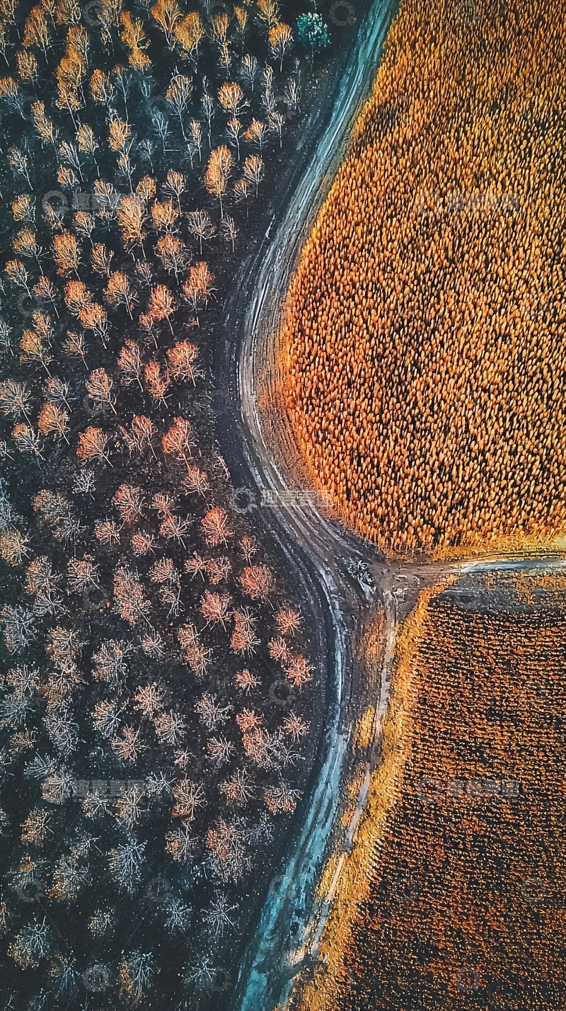 高清大图下载【趣麦麦图】秋天的丰收景象