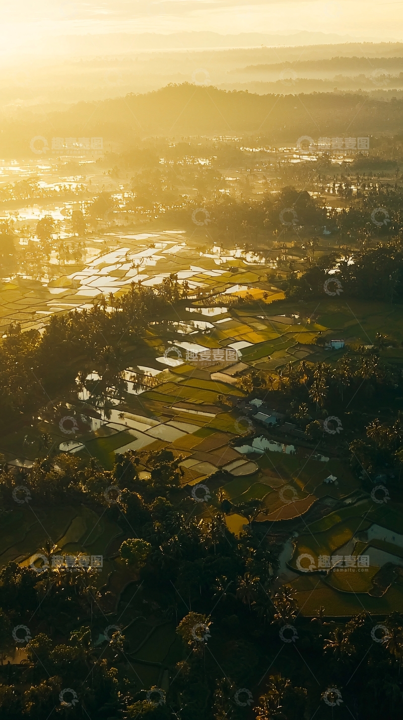 高清大图下载【趣麦麦图】稻田黄昏高清图片