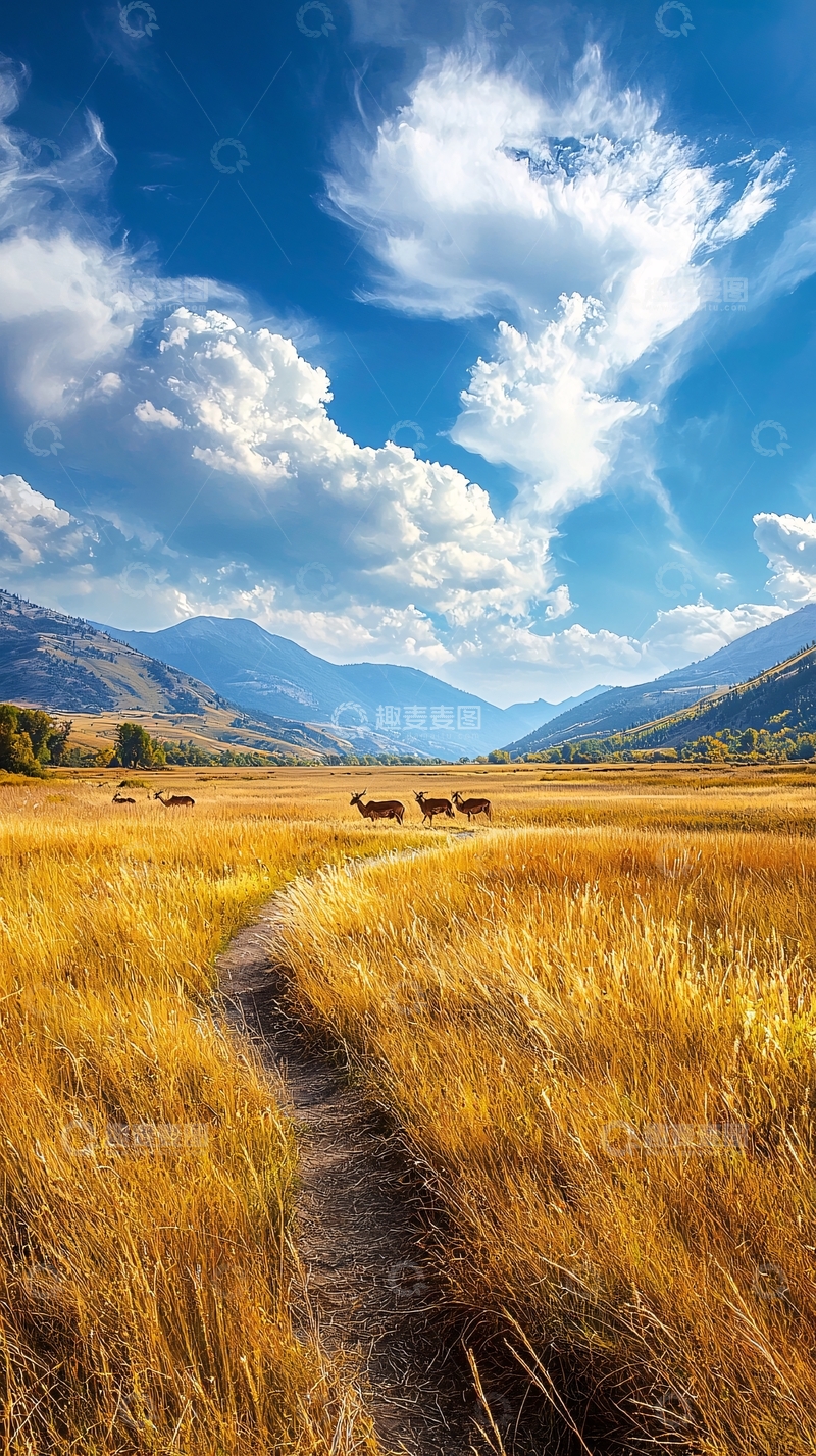 高清大图下载【趣麦麦图】金色草原上的小径与鹿群