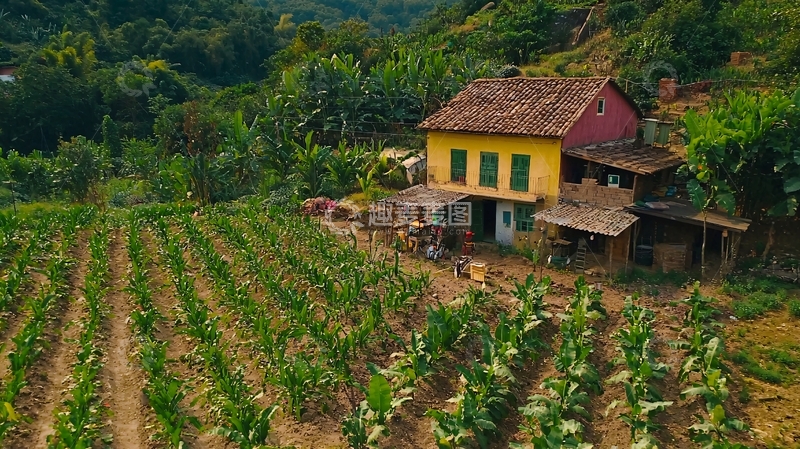 高清大图下载【趣麦麦图】乡村的生态农场游览