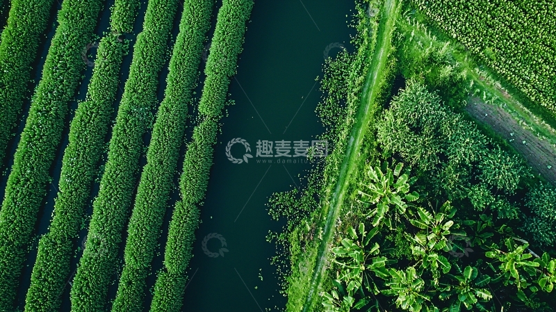 高清大图下载【趣麦麦图】湿地保护区高清图片