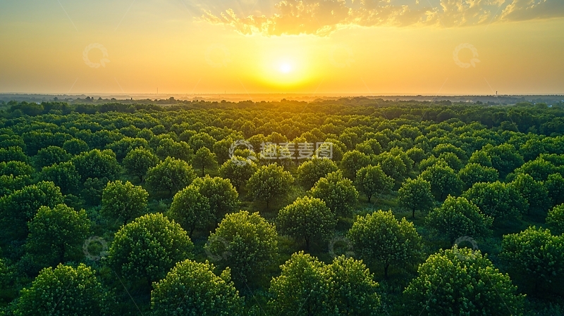 高清大图下载【趣麦麦图】清洁能源都市