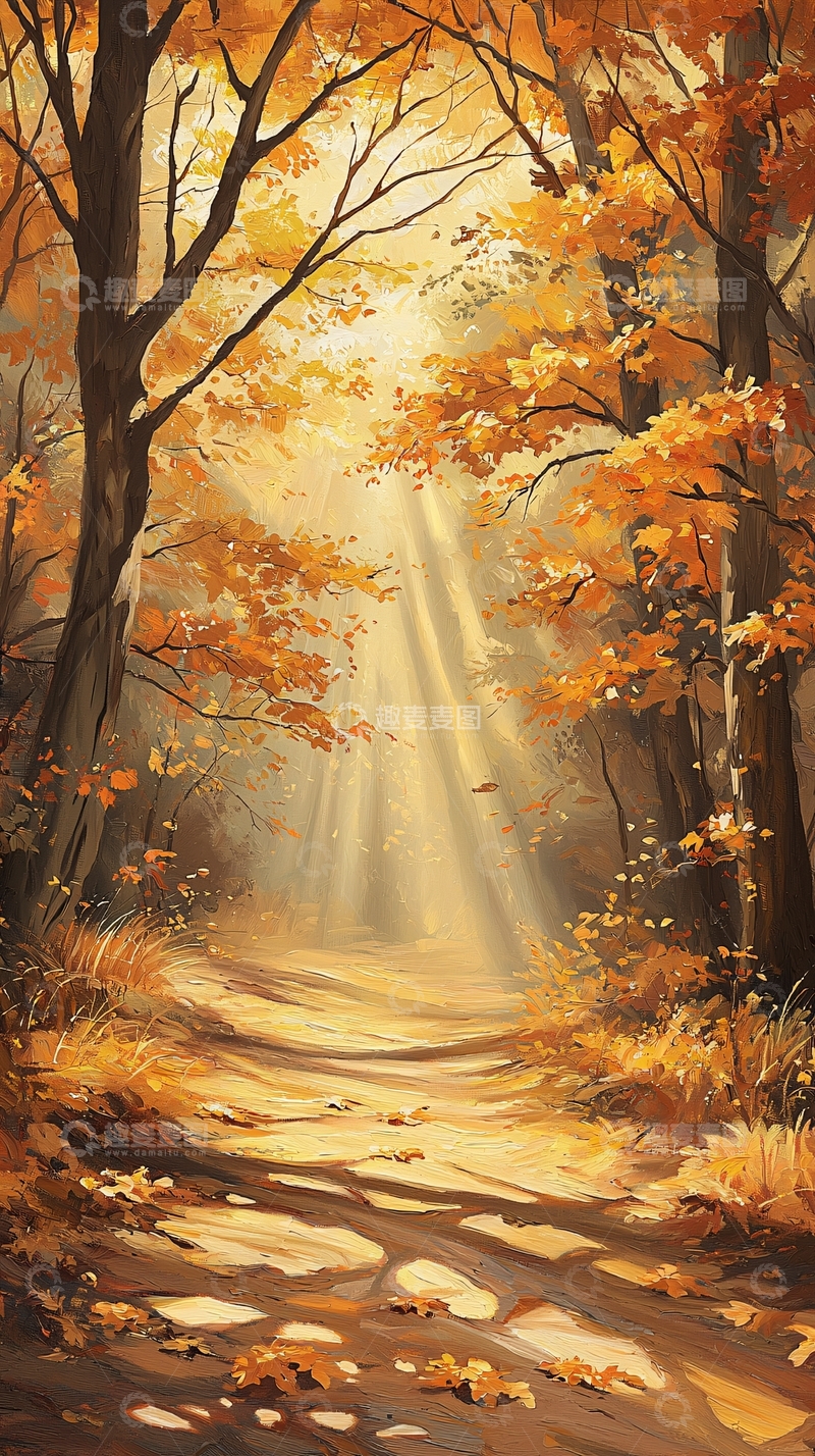 高清大图下载【趣麦麦图】秋日森林小径阳光照射