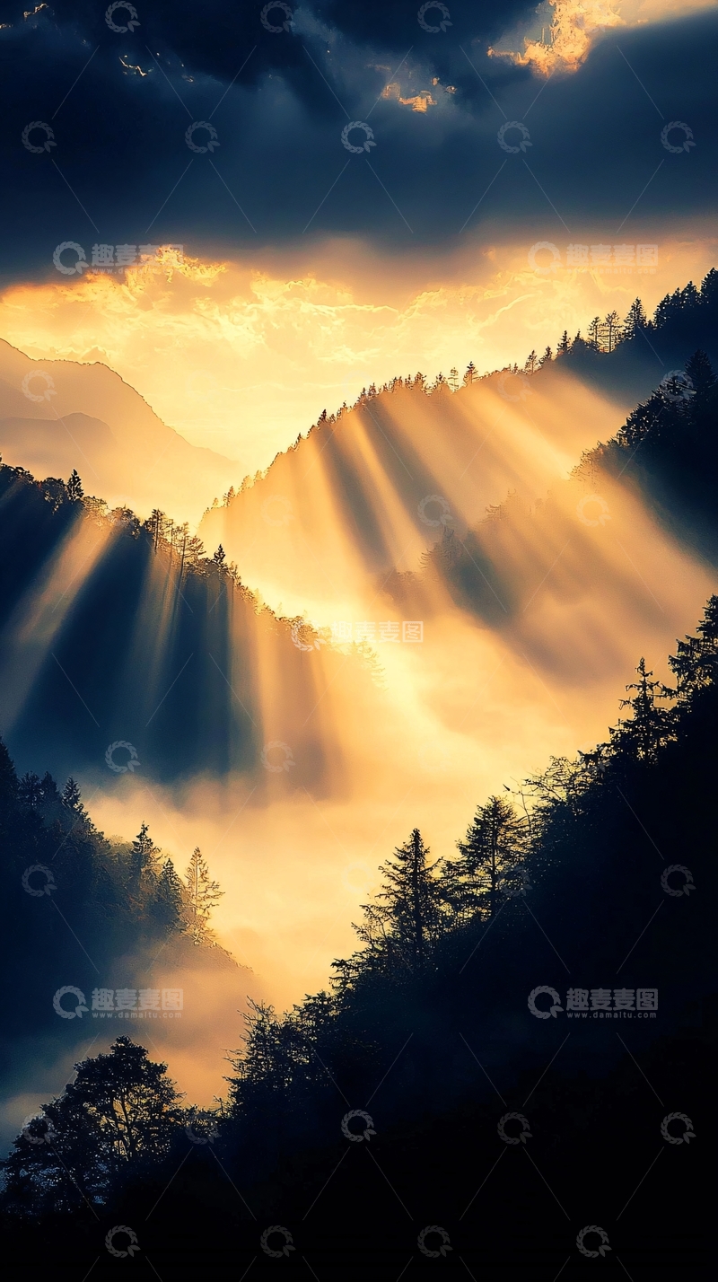 高清大图下载【趣麦麦图】晨光穿透云雾山林