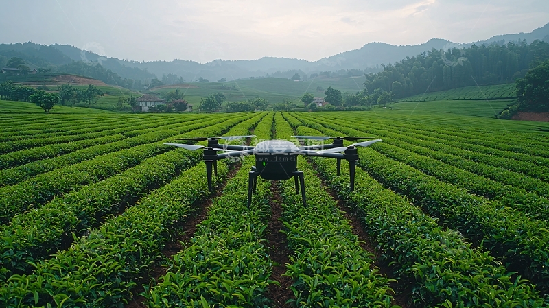 高清大图下载【趣麦麦图】高山生态茶园