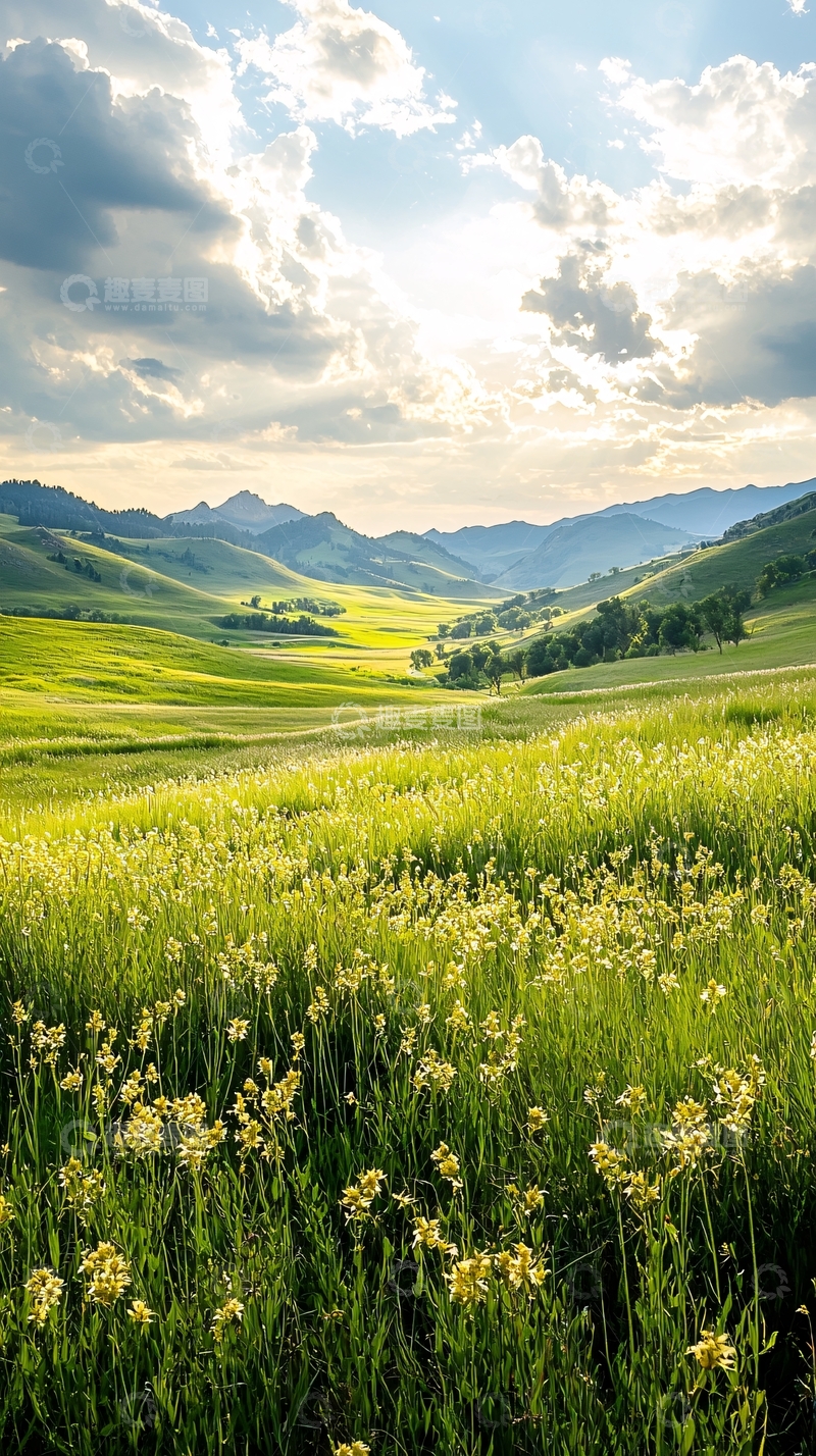 高清大图下载【趣麦麦图】草原上的阳光与野花