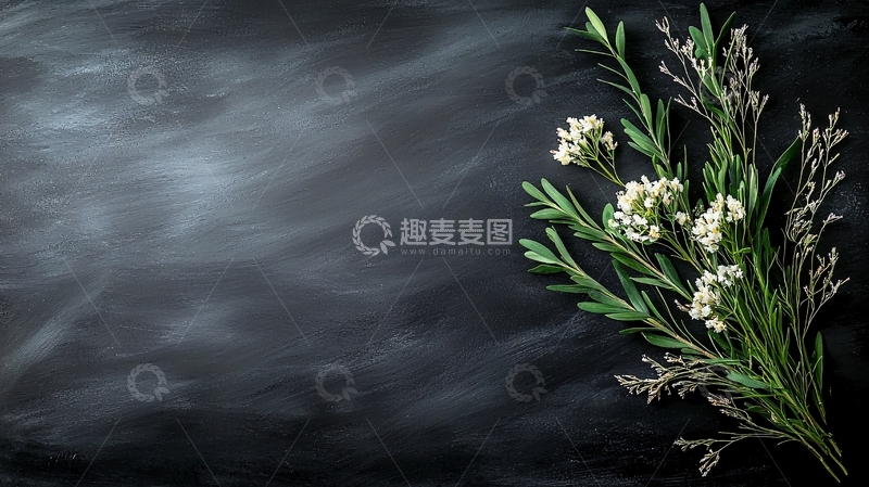 高清大图下载【趣麦麦图】黑色背景上的白色花朵和绿叶