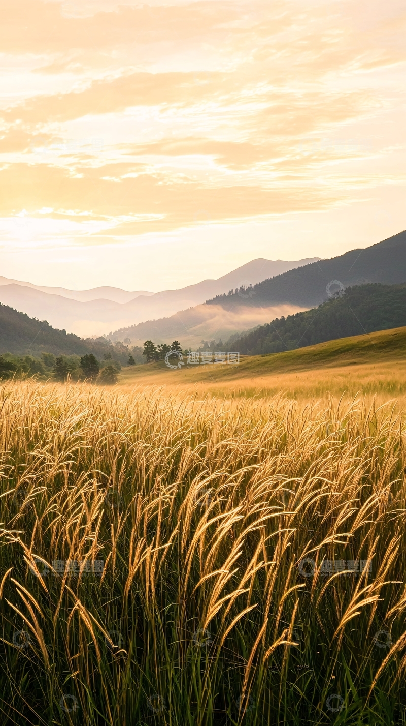 高清大图下载【趣麦麦图】夕阳下的草原与山峦