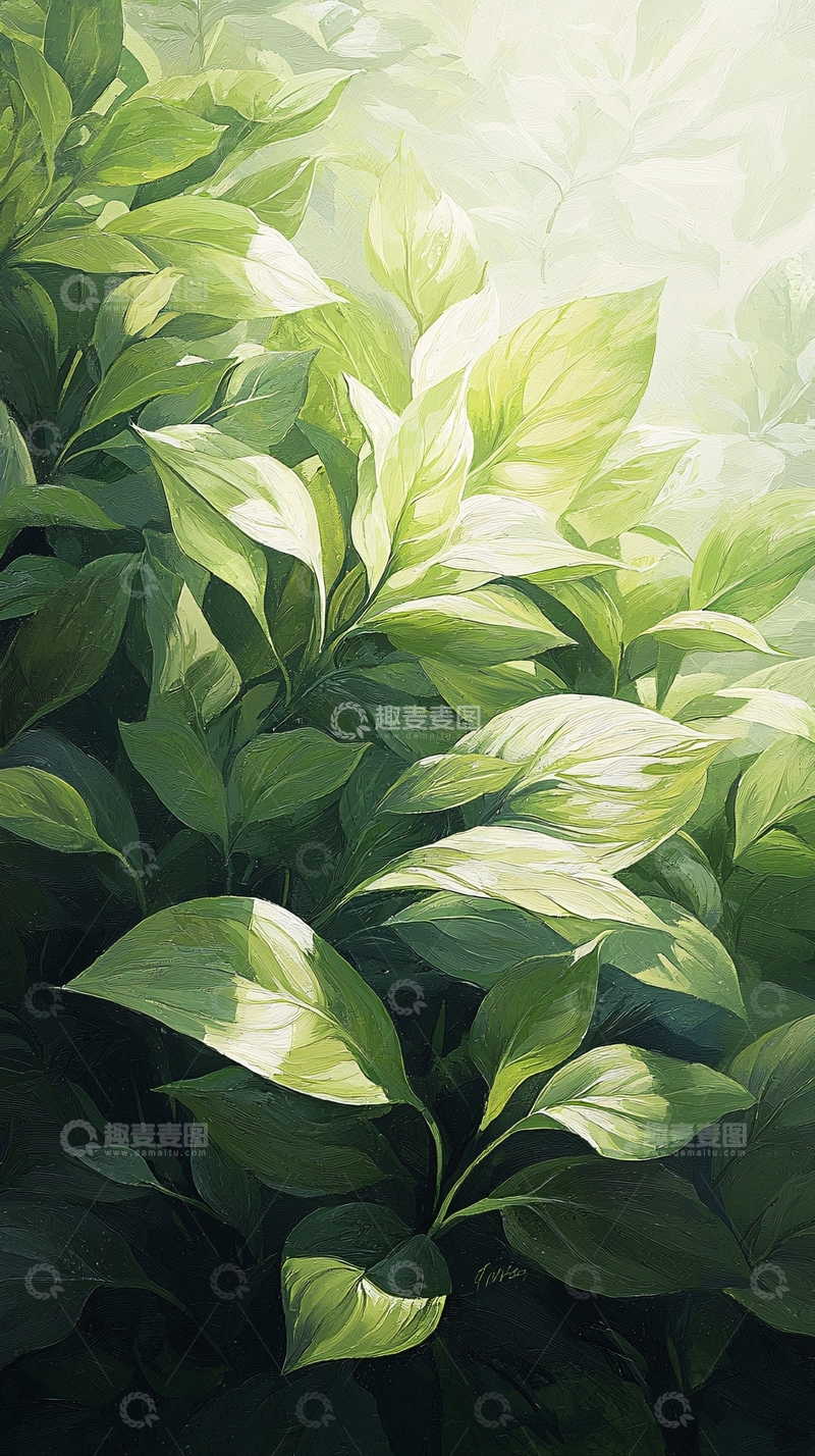 高清大图下载【趣麦麦图】清新绿叶植物背景