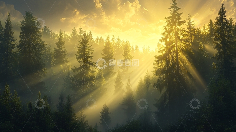 高清大图下载【趣麦麦图】晨光穿透森林
