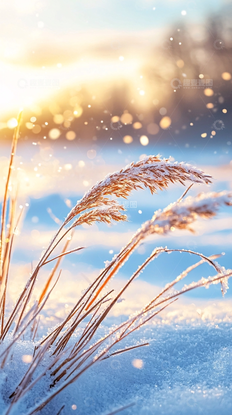 高清大图下载【趣麦麦图】冬日雪景下的干草