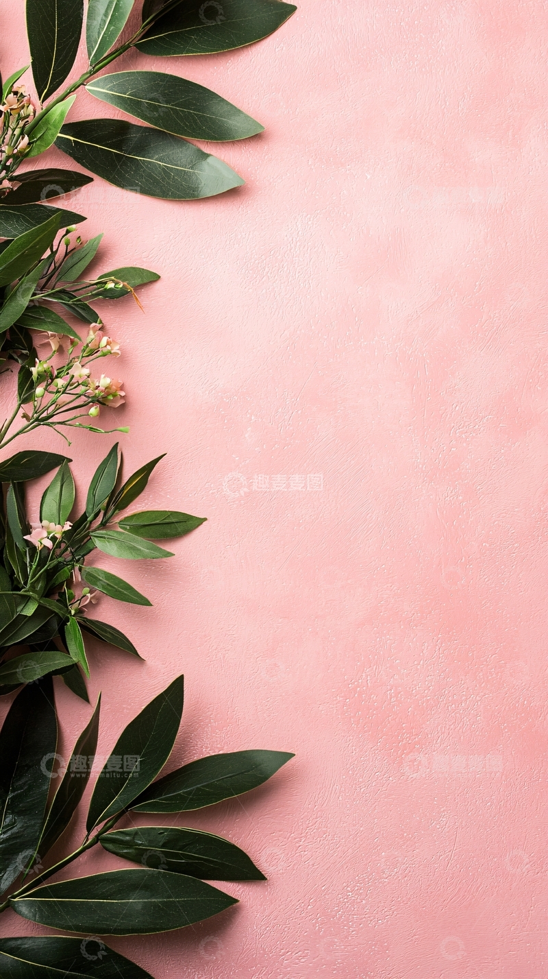 高清大图下载【趣麦麦图】粉色背景绿叶花卉装饰素材