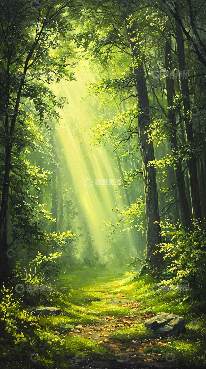高清大图下载【趣麦麦图】森林中的阳光小径