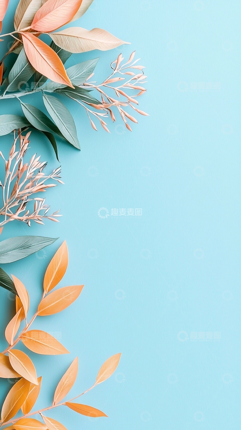 高清大图下载【趣麦麦图】清新植物边框背景图