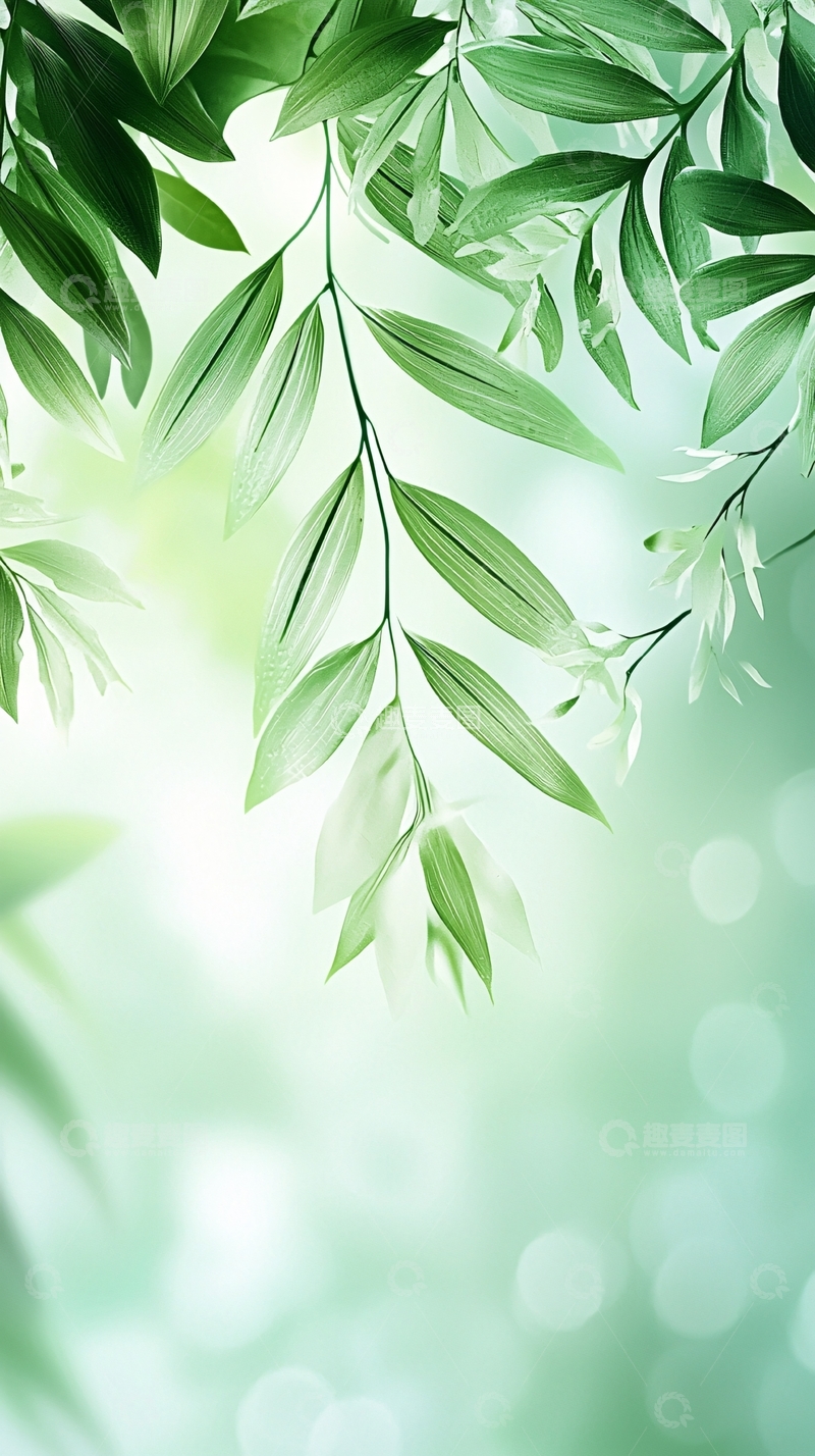 高清大图下载【趣麦麦图】清新绿叶自然背景