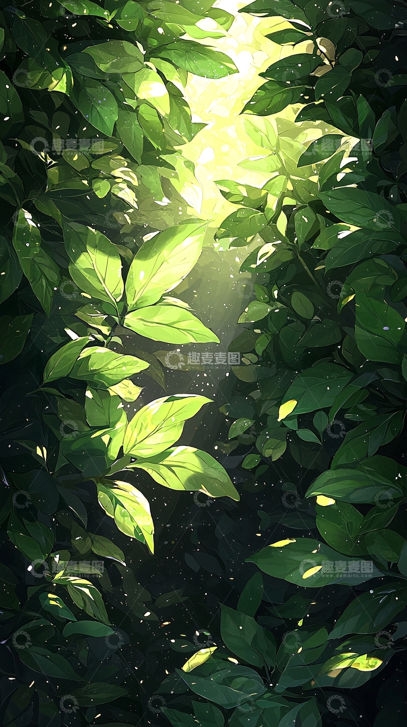 高清大图下载【趣麦麦图】阳光穿透树叶的森林场景