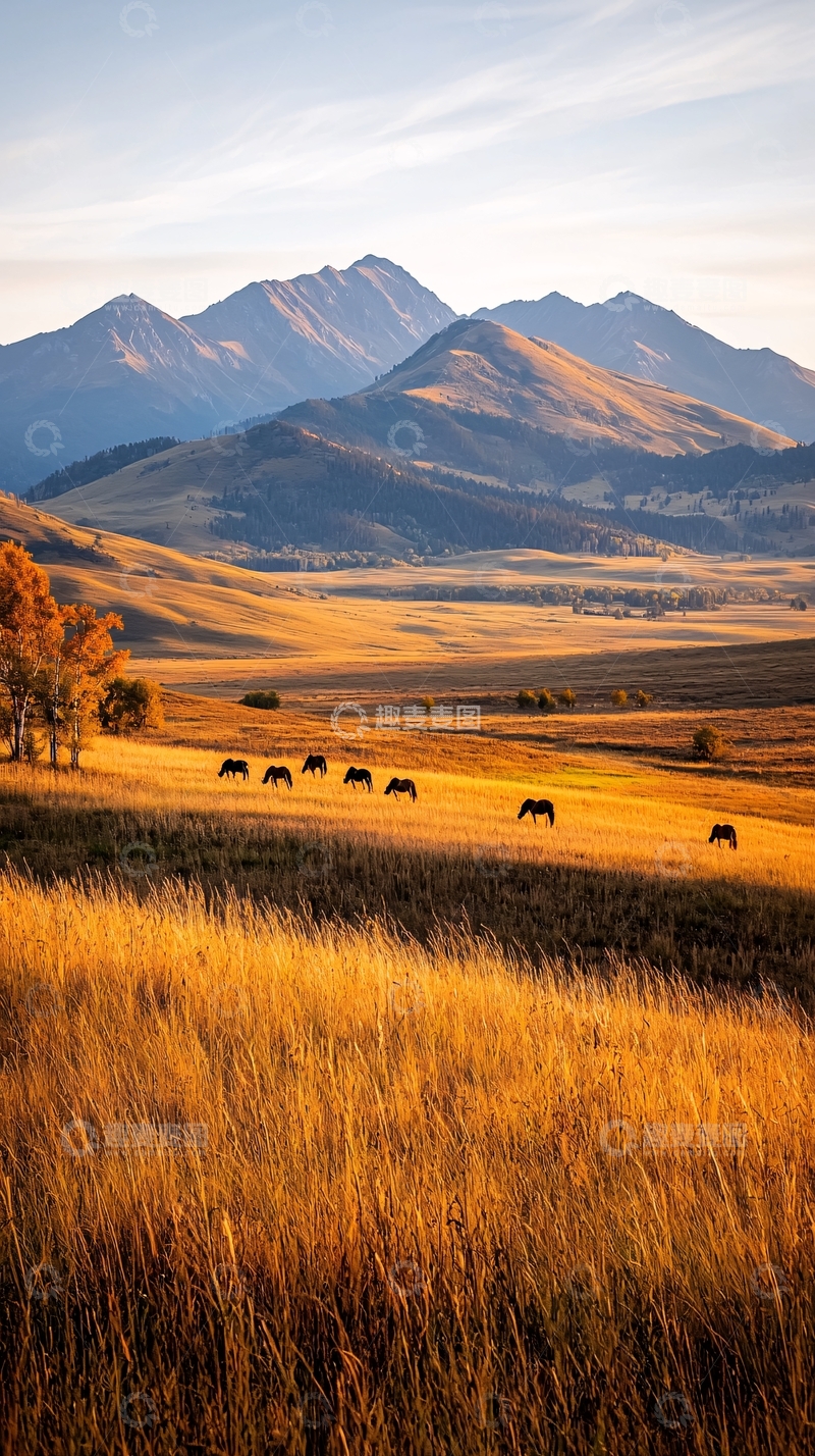 高清大图下载【趣麦麦图】夕阳下的草原与群马