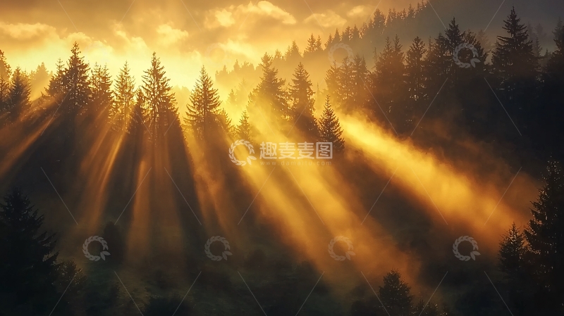 高清大图下载【趣麦麦图】晨光穿透森林