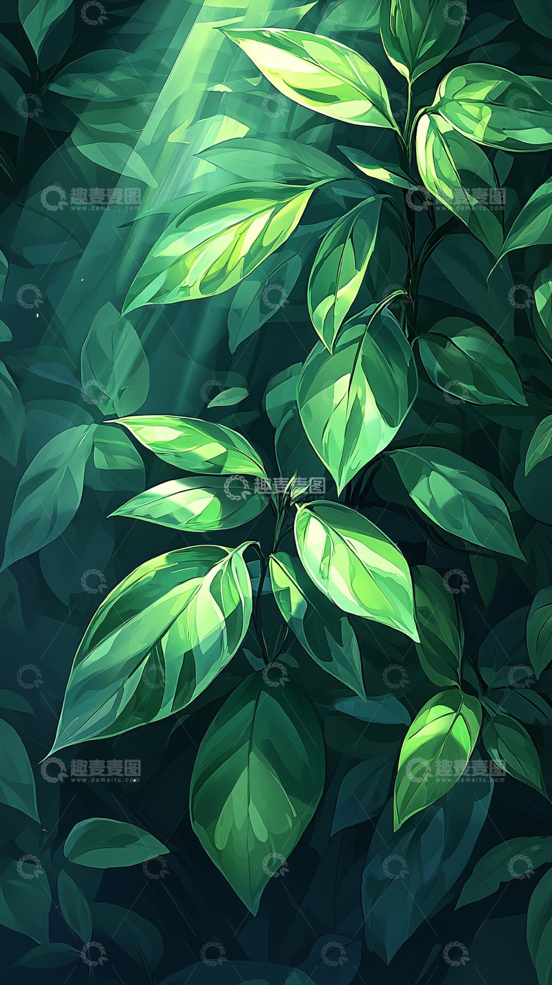 高清大图下载【趣麦麦图】-绿色植物光影效果背景图