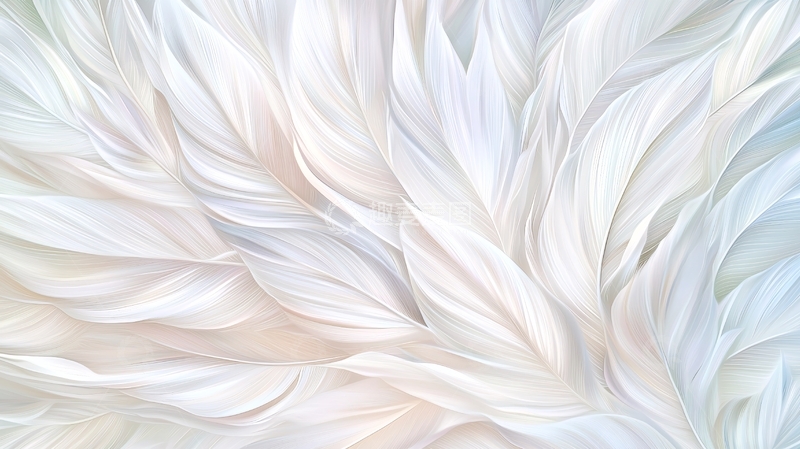 高清大图下载【趣麦麦图】白色羽毛抽象艺术背景