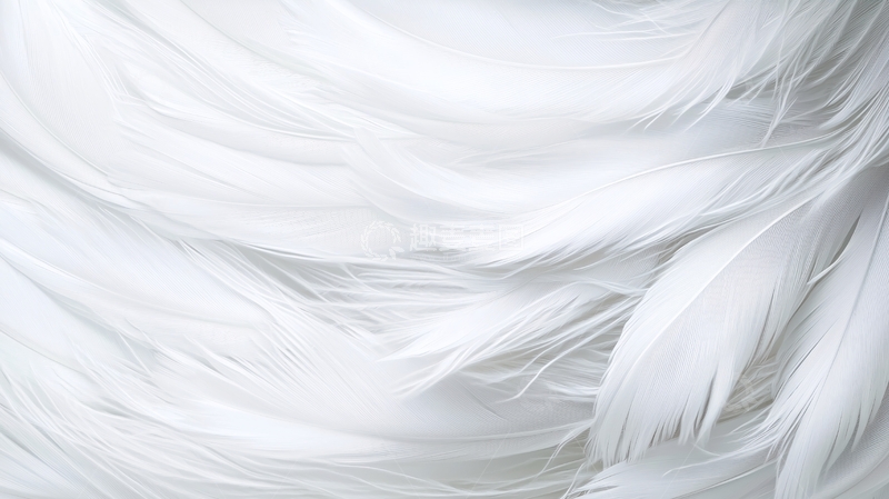 高清大图下载【趣麦麦图】白色羽毛纹理背景