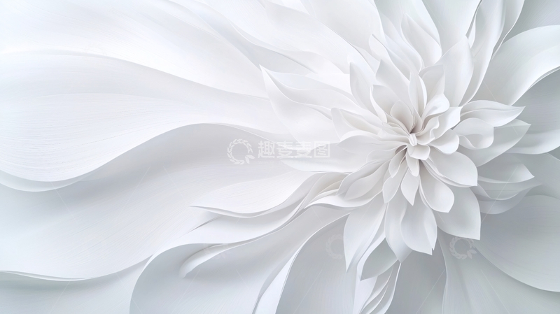高清大图下载【趣麦麦图】白色抽象花朵背景素材