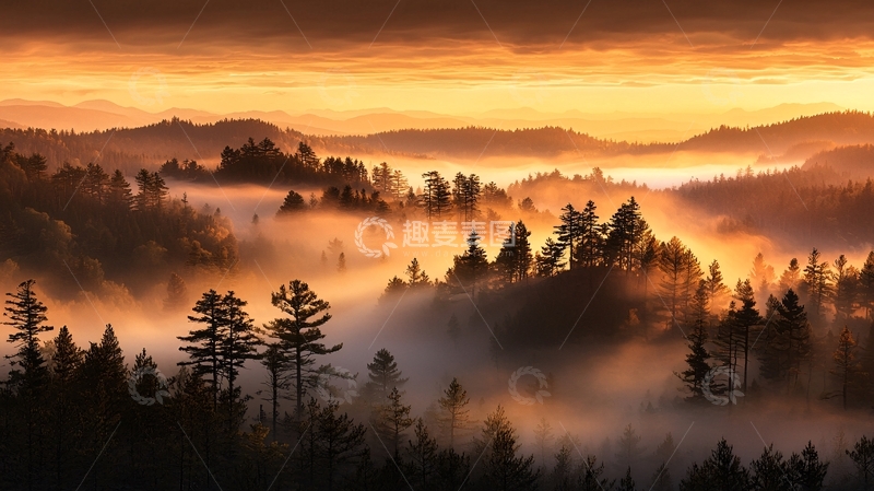 高清大图下载【趣麦麦图】晨雾中的森林风景