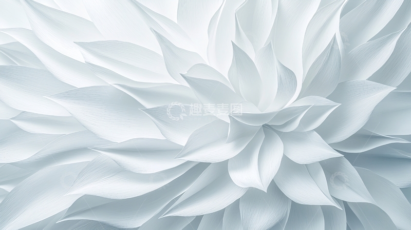高清大图下载【趣麦麦图】白色花瓣抽象艺术背景