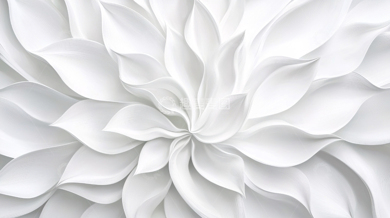 高清大图下载【趣麦麦图】白色花瓣抽象艺术背景
