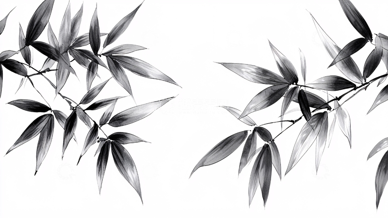 高清大图下载【趣麦麦图】水墨竹叶自然背景