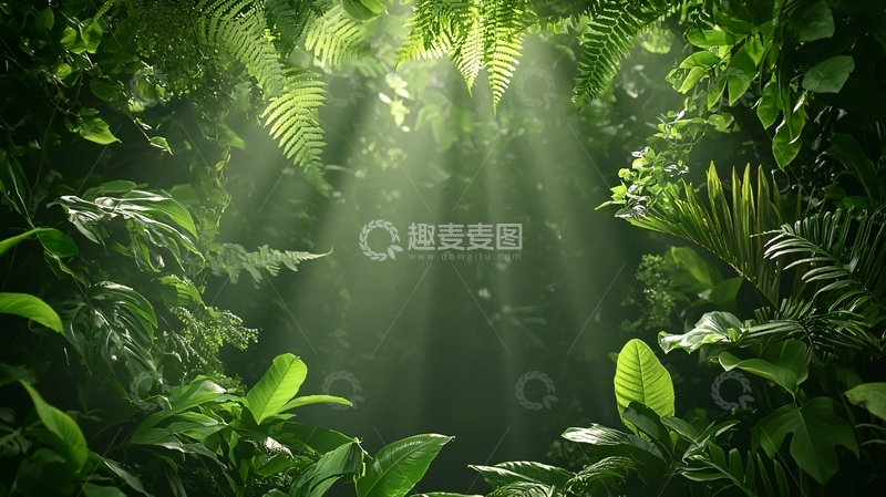 高清大图下载【趣麦麦图】阳光穿透热带雨林