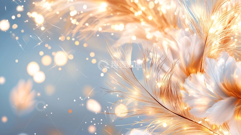 高清大图下载【趣麦麦图】金色羽毛飘落背景素材