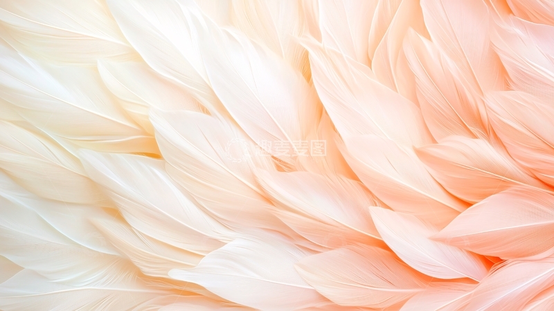 高清大图下载【趣麦麦图】柔和羽毛纹理背景