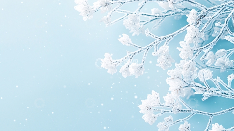 高清大图下载【趣麦麦图】冬日雪景树枝背景图