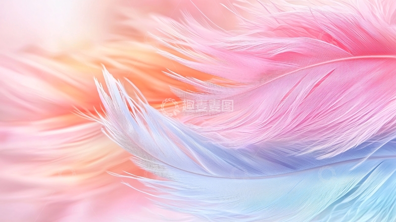 高清大图下载【趣麦麦图】梦幻羽毛背景素材