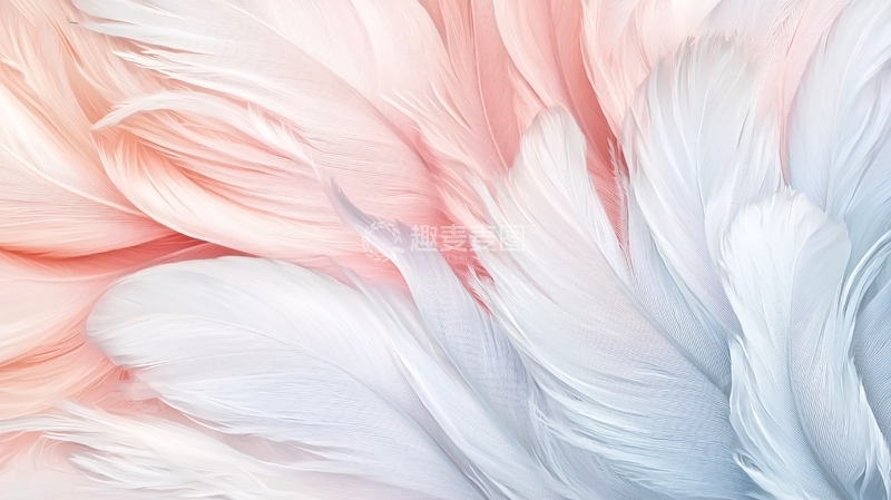 高清大图下载【趣麦麦图】粉色渐变羽毛纹理背景