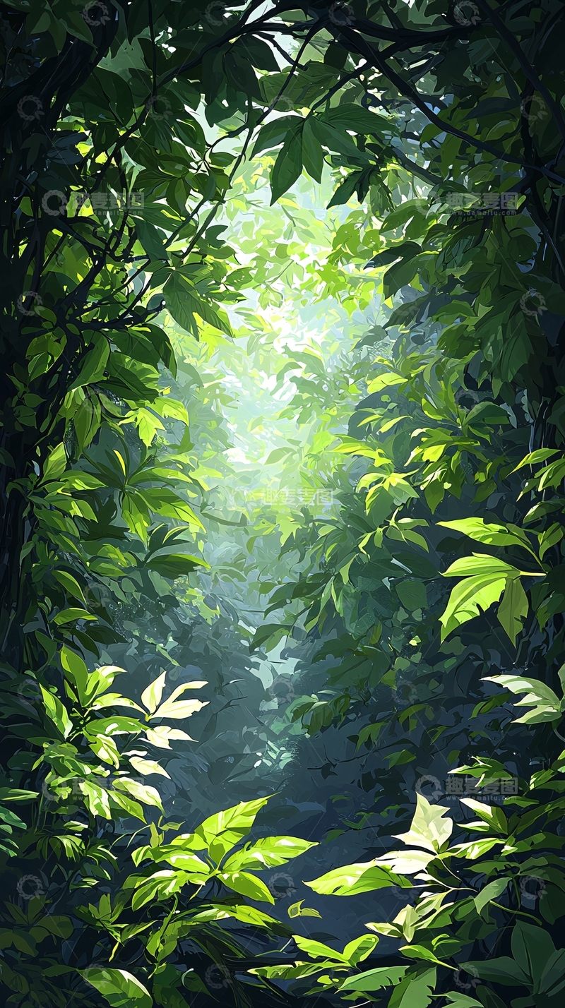 高清大图下载【趣麦麦图】森林中的阳光通道