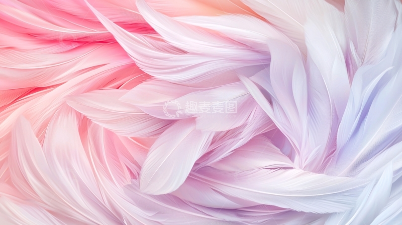 高清大图下载【趣麦麦图】粉色羽毛抽象艺术背景