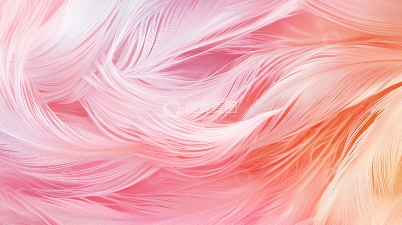 高清大图下载【趣麦麦图】粉色羽毛抽象背景