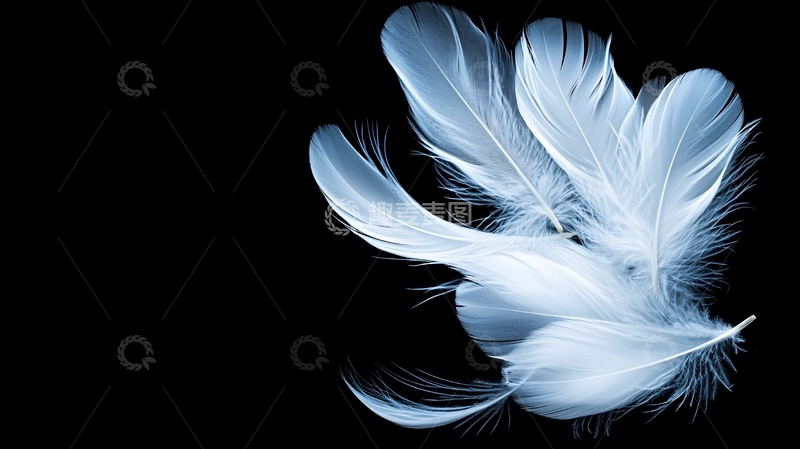高清大图下载【趣麦麦图】羽毛飘落的艺术背景图