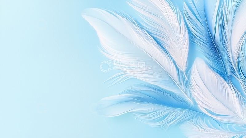 高清大图下载【趣麦麦图】蓝色羽毛抽象艺术背景
